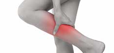 Calf Muscles
