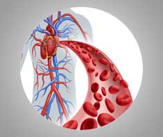 Better Circulation